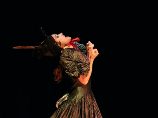 A Thing with Feathers, Performance Lecture, Carnival of invention conference, University of Brighton, Devised and performed 2018
