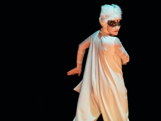 A Thing with Feathers, Performance Lecture, University of Brighton, 2018
