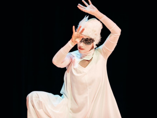 A Thing with Feathers, Performance Lecture, University of Brighton, 2018