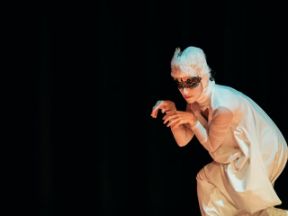 A Thing with Feathers, Performance Lecture, University of Brighton, 2018