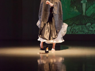 Performance Lecture, Dr Jill Hayes Memorial, University of Chichester, 2015